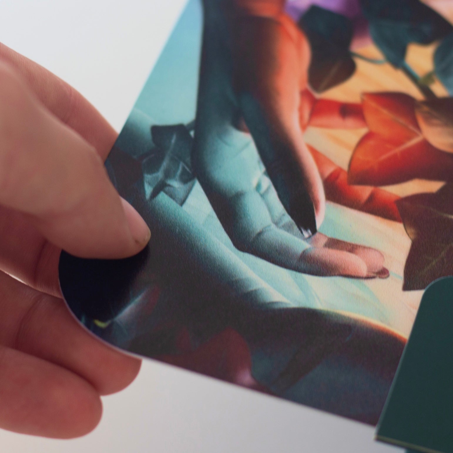 Soul Flora - Street Collector