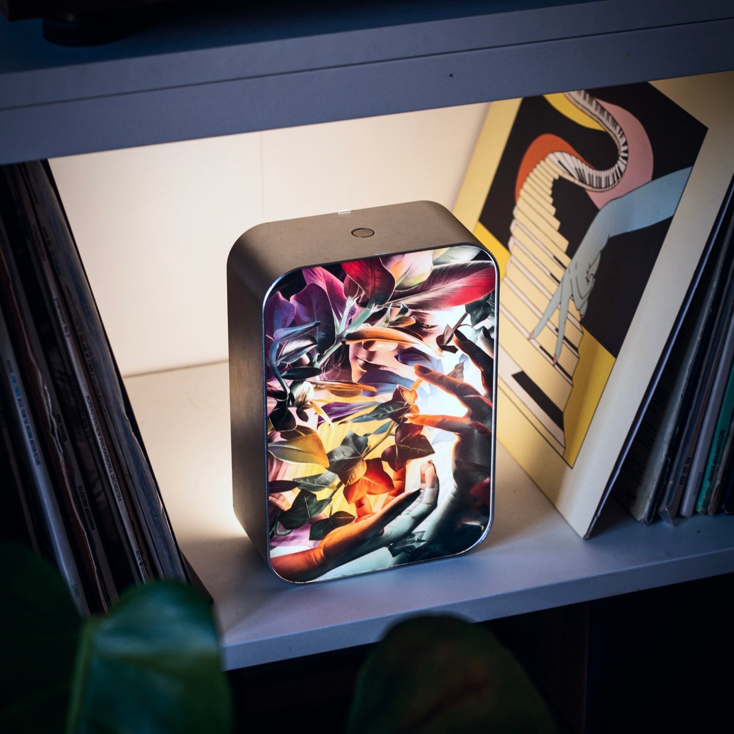 Soul Flora - Street Collector