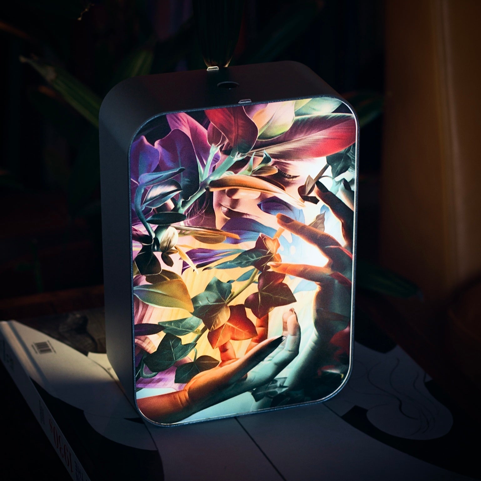 Soul Flora - Street Collector